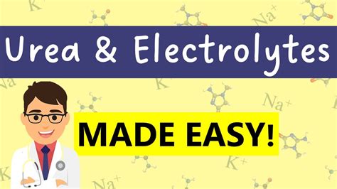 urea and electrolytes|urea and electrolytes explained.
